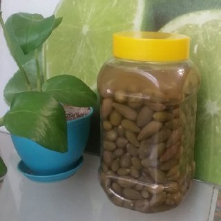 ترشی شپله