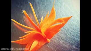 تزیین هویج به شکل پروانه
