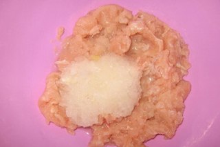 تصویر شامی مرغ