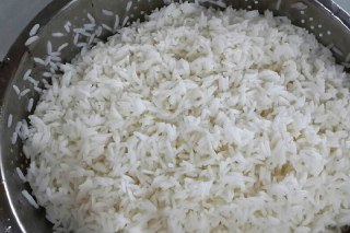 عکس برنج