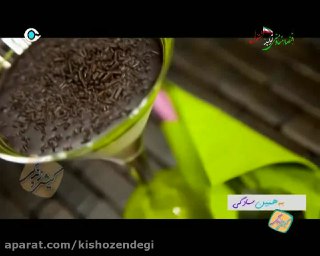 کیش و زندگی کباب کوبیده مرغ آشپزی آسان